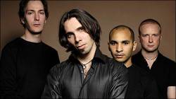 interview The Old Dead Tree